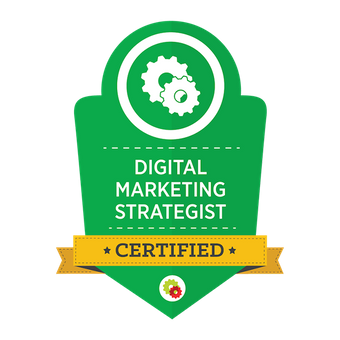 digital marketing strategist